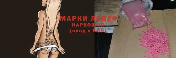 ПСИЛОЦИБИНОВЫЕ ГРИБЫ Заводоуковск