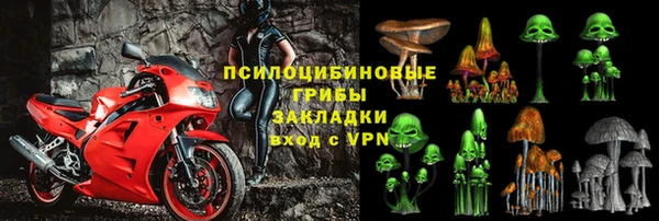 ПСИЛОЦИБИНОВЫЕ ГРИБЫ Заводоуковск