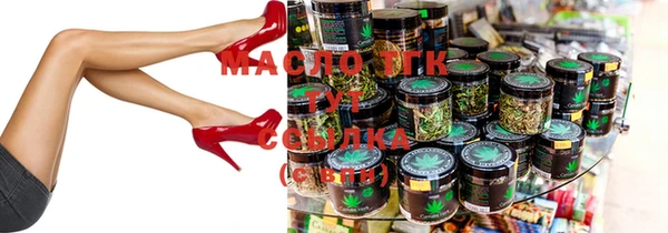 молекула духа Ельня