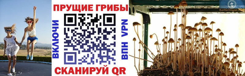 Псилоцибиновые грибы ЛСД  Перевоз 