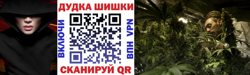 Конопля планчик  MEGA ONION  Перевоз 